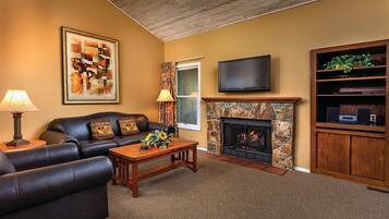 Télévision, cheminée, jeux vidéo, lecteur de DVD