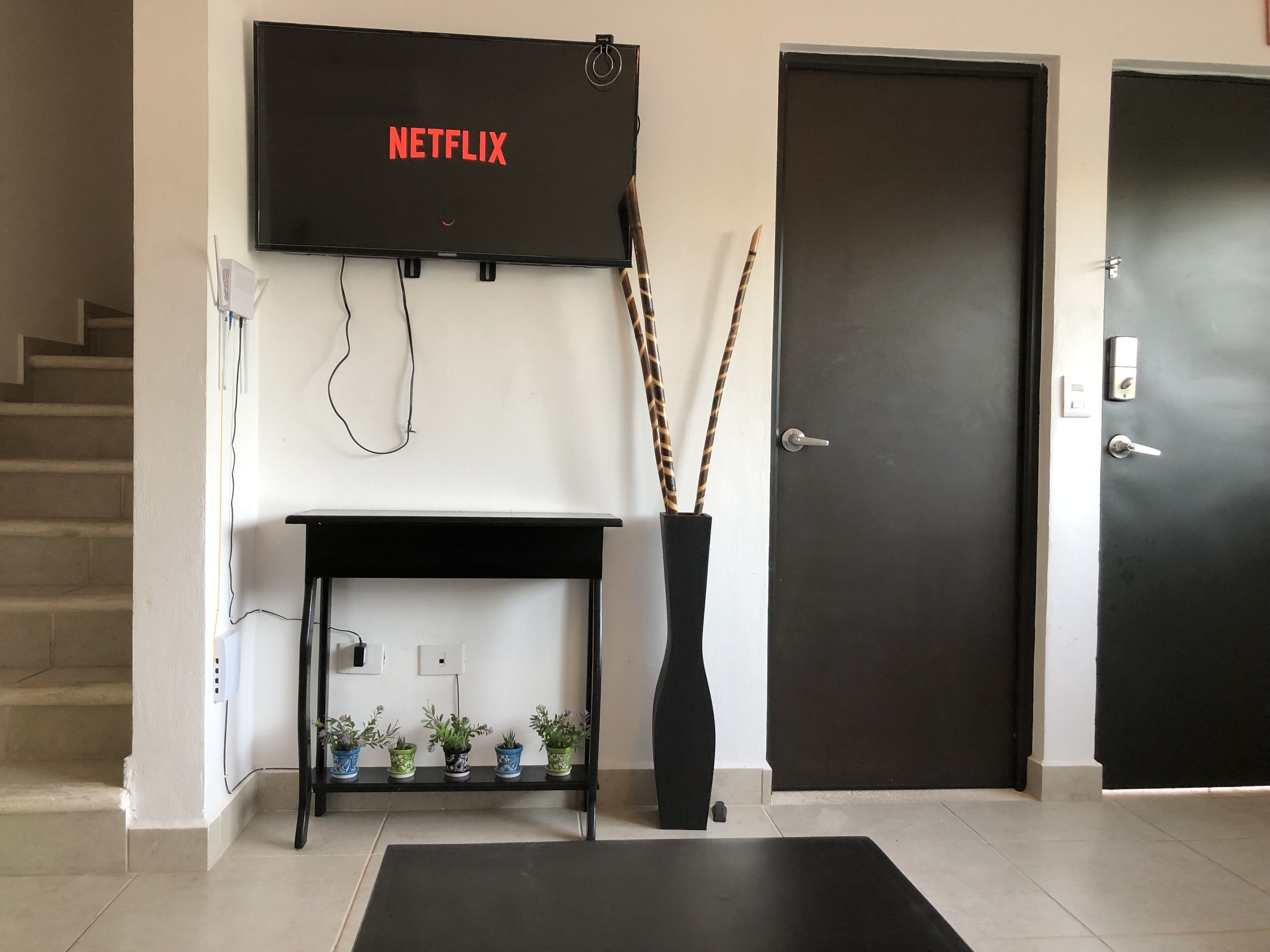 A modern living room with a flat-screen TV mounted above a black console table holding potted plants. A dark door is visible to the right.