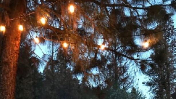 A hot tub with a tiled edge, surrounded by trees and string lights. - The Last Resort Lodge (New Meadows)