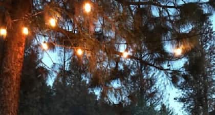 The Last Resort Lodge