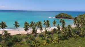A tropical beach with palm trees and a clear blue sea. - Luxury Contemporary Villa with Sea View & Private Pool – Las Terrenas STARLINK (Las Terrenas)