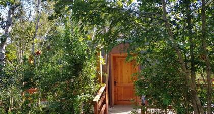 Jardín de Domos Pucón. Domes for 6 passengers