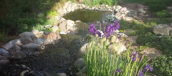 Executive Home with every amenity, prime location