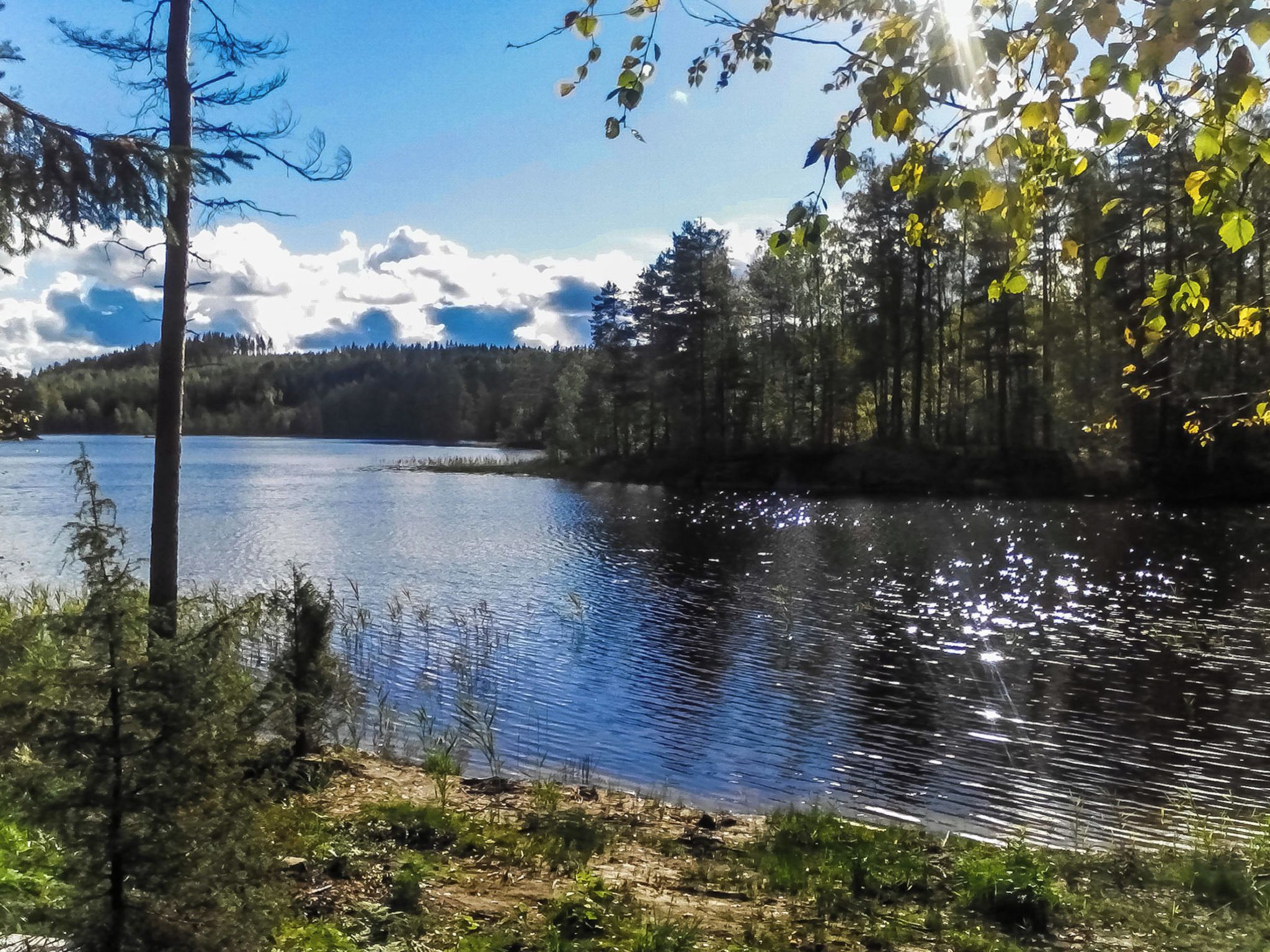 A calm lake surrounded by trees and a clear sky.
