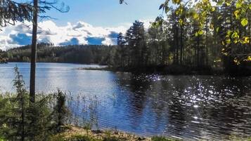 A calm lake surrounded by trees and a clear sky.