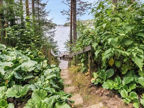 En træbro fører hen til en moler, omgivet af frodig vegetation.