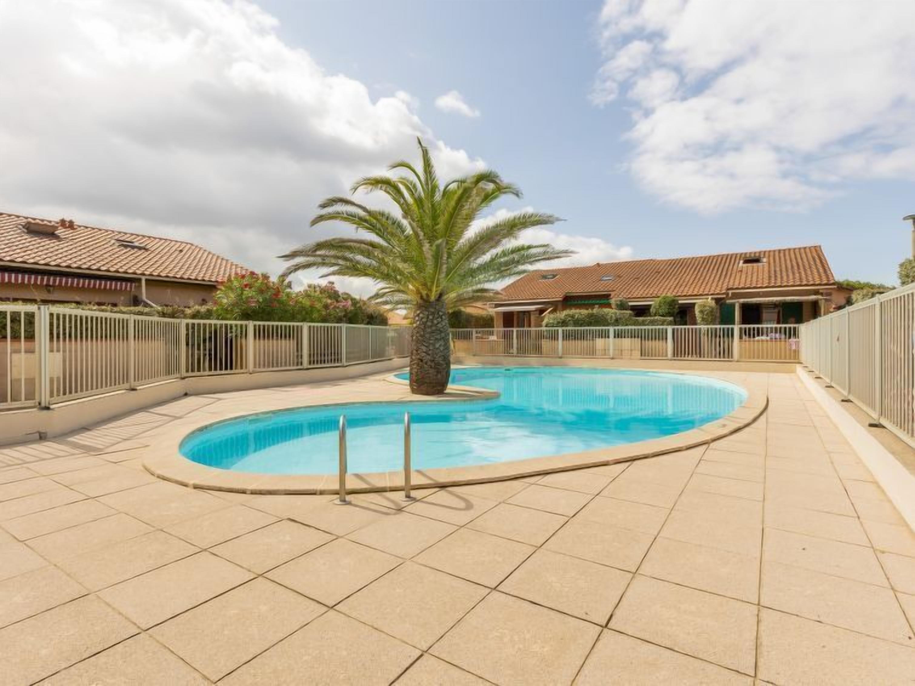 En swimmingpool med en palme, omgivet af et hegn og bygninger med tegltage.