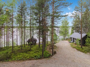 A gravel path leading to a cabin surrounded by tall trees and a lake.