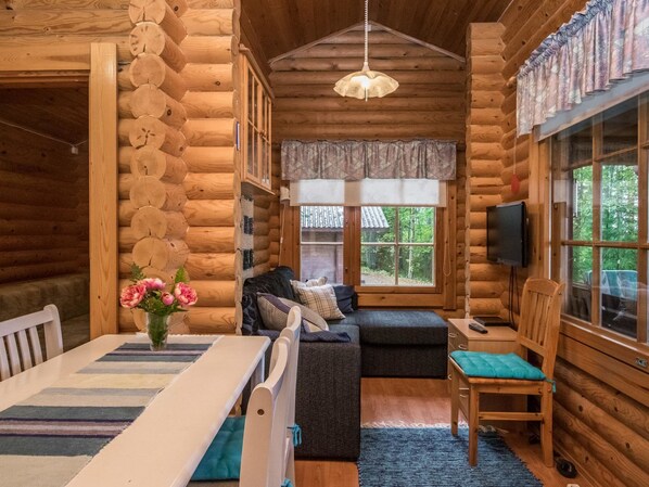 Televisio, DVD-soitin