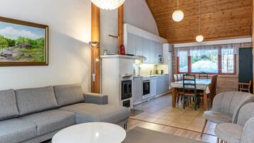 电视、DVD 播放器