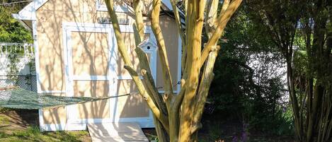 Un jardín con un sendero de madera que lleva a un cobertizo pequeño.