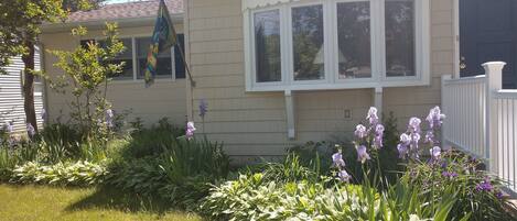 Una casa de un piso con fachada blanca, un porche delantero y un pequeño jardín con flores moradas.