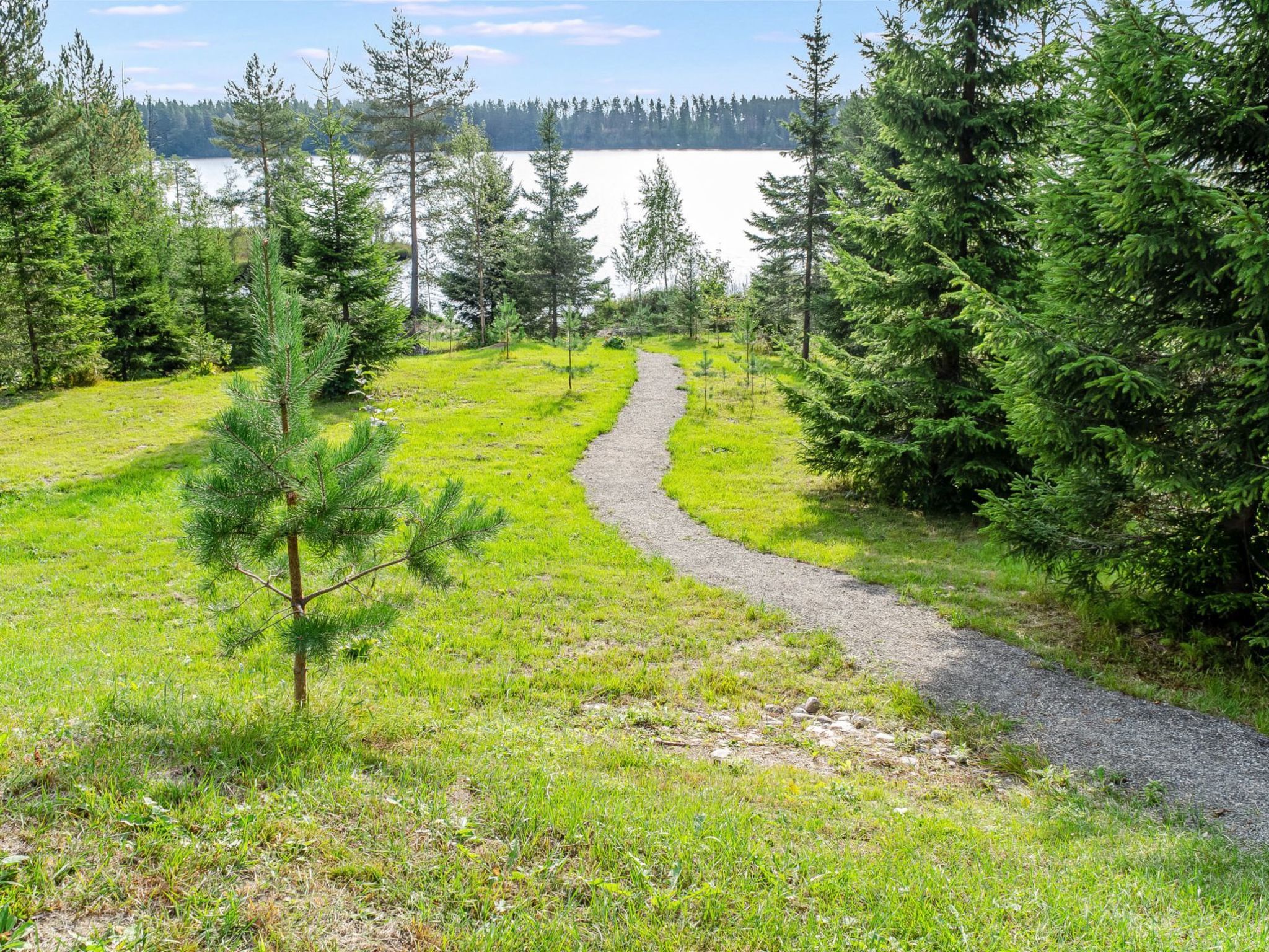 A gravel path leading through a grassy area with coniferous trees, towards a body of water.