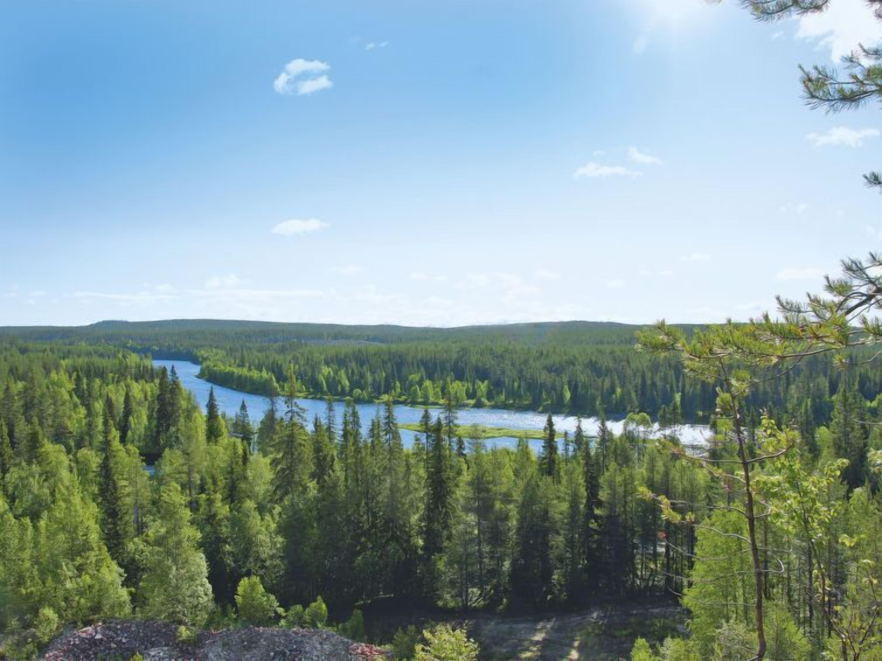 Eine bewaldete Landschaft mit einem See und weite Hügel im Hintergrund.