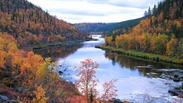 Ein Fluss, umgeben von Herbstlaub, mit bewaldeter Landschaft an beiden Ufern.