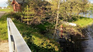 Een houten brug over een rustige rivier, omgeven door weelderige begroeiing en een klein bakstenen gebouw.