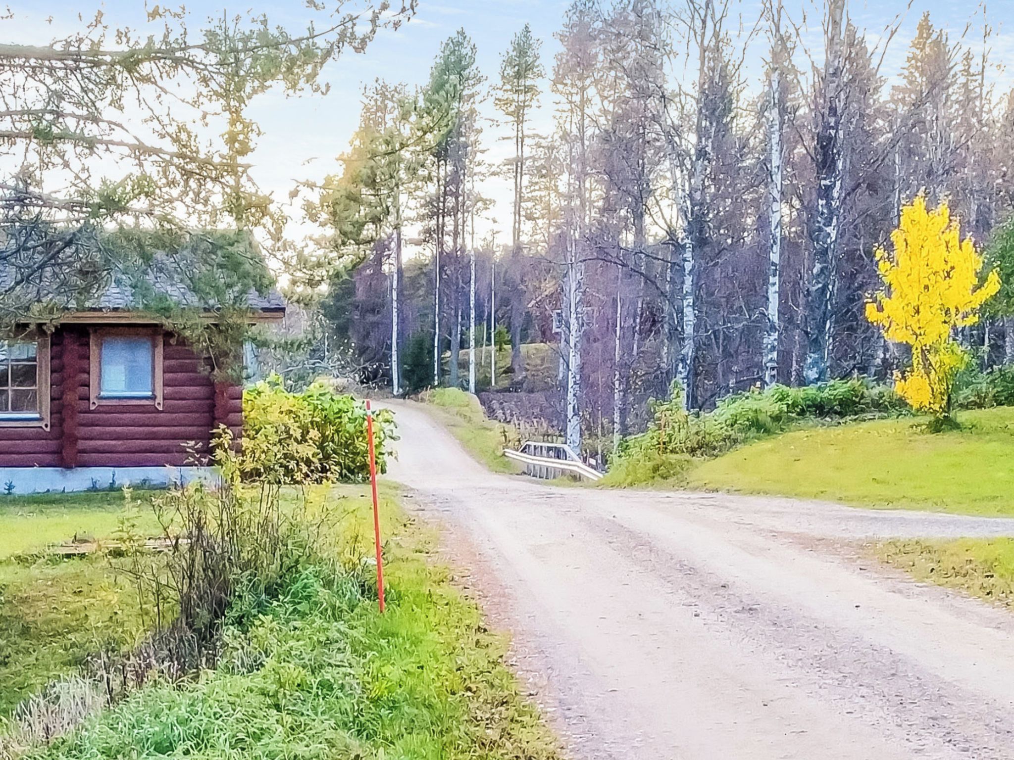 Un camino rural que conduce a una cabaña de troncos con un pequeño jardín y un árbol amarillo.