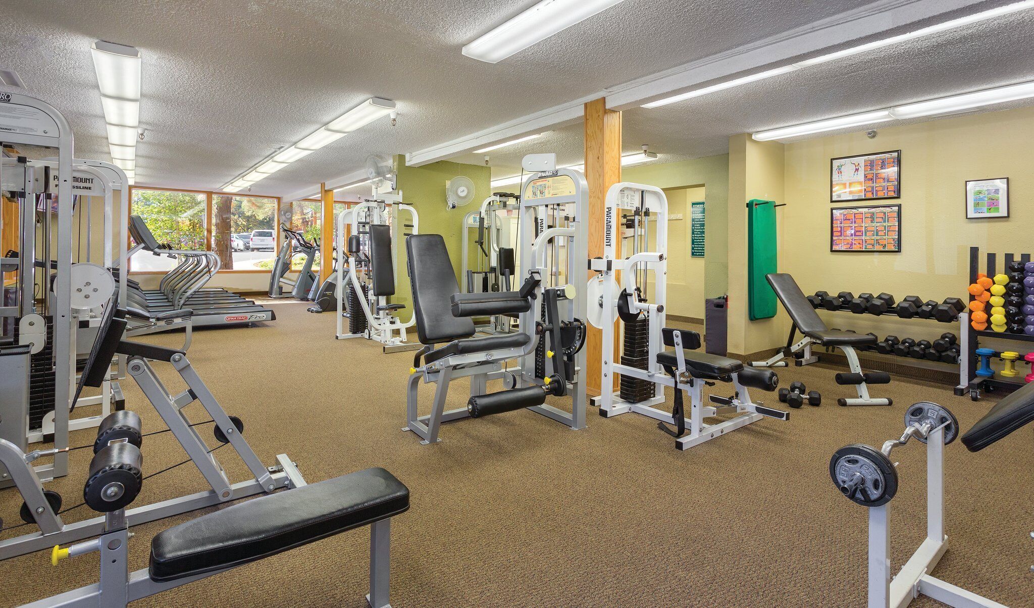 A gym with cardio machines, weightlifting equipment, and dumbbells.