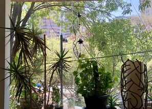 Property grounds - Room in the most exclusive area of Polanco (Polanco V Secc)