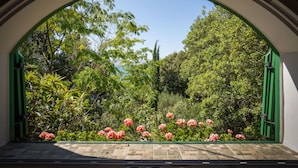 Une vue à travers une fenêtre en arc surmontée de volets verts, donnant sur un jardin où s’épanouissent des fleurs roses et une végétation luxuriante.