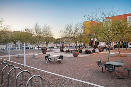 Element Scottsdale at SkySong - Image 21