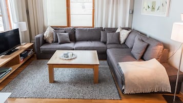 Televisio, DVD-soitin