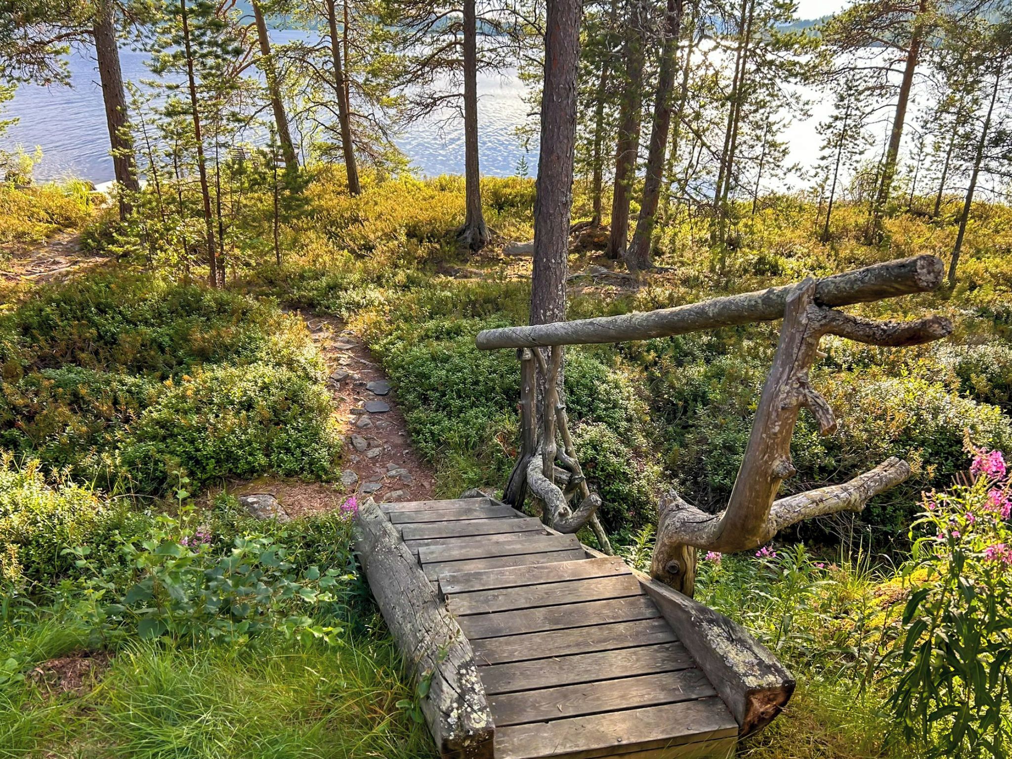 A wooden bridge over a forested area with a lake in the background.