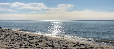 Plage à proximité, chaises longues, serviettes de plage