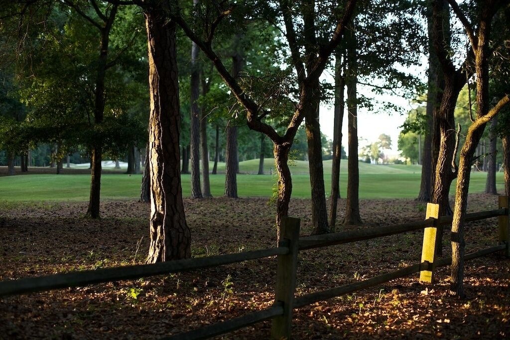 A wooded area with a wooden fence and a yellow post.