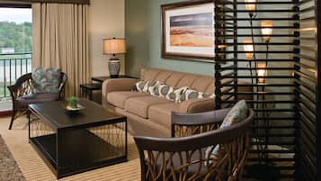 TV, fireplace, video games, DVD player