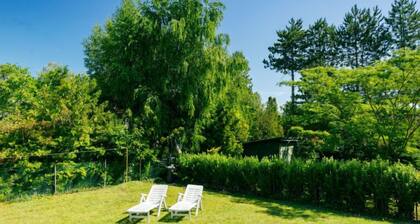 Cubic 2 by Interhome