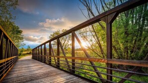 A wooden bridge with metal railings, surrounded by greenery and trees. - Ascent ON Main (PARKER)