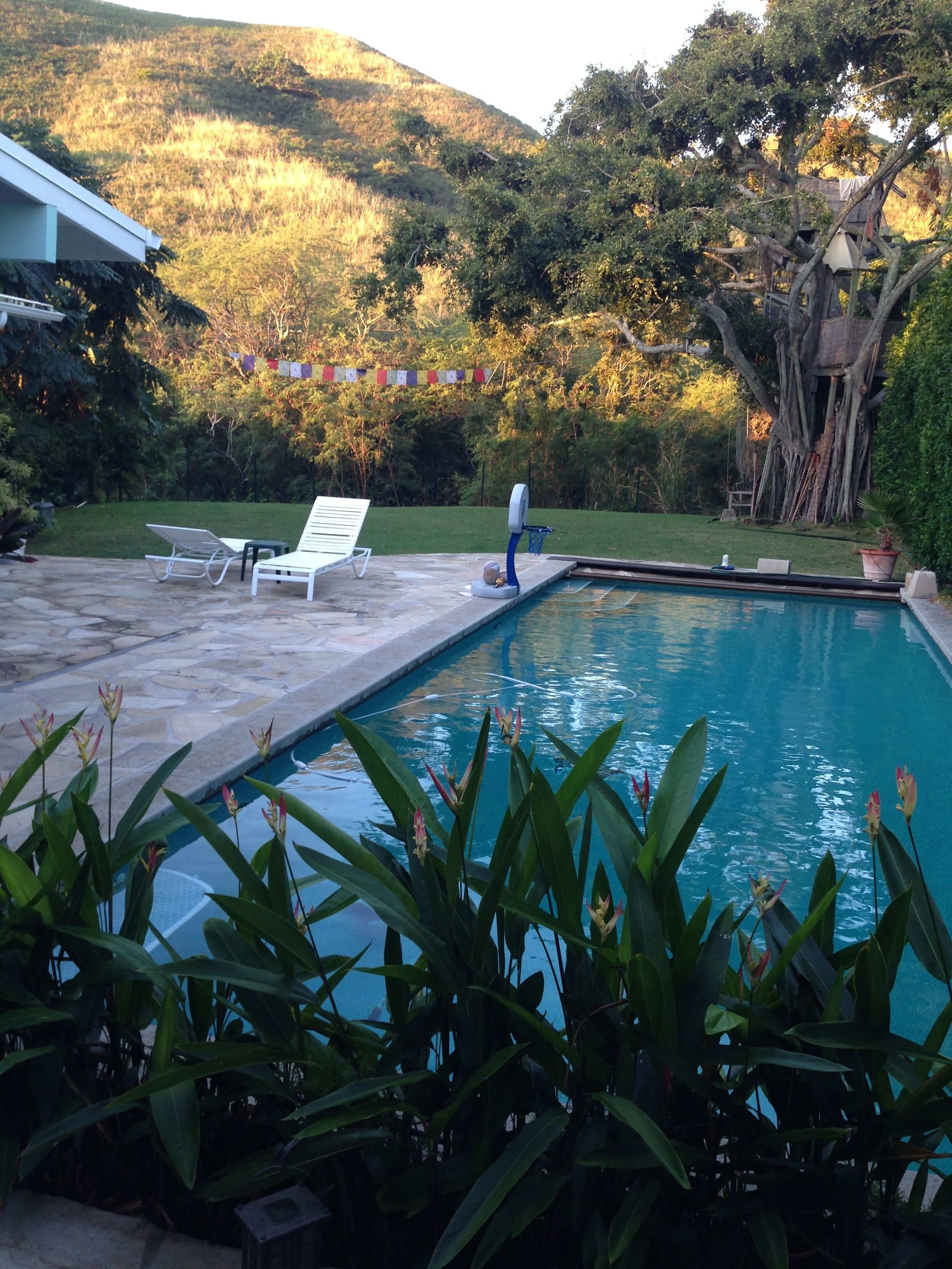 Secluded w Ocean view, 5 blocks to Beach, heated pool & hot tub
