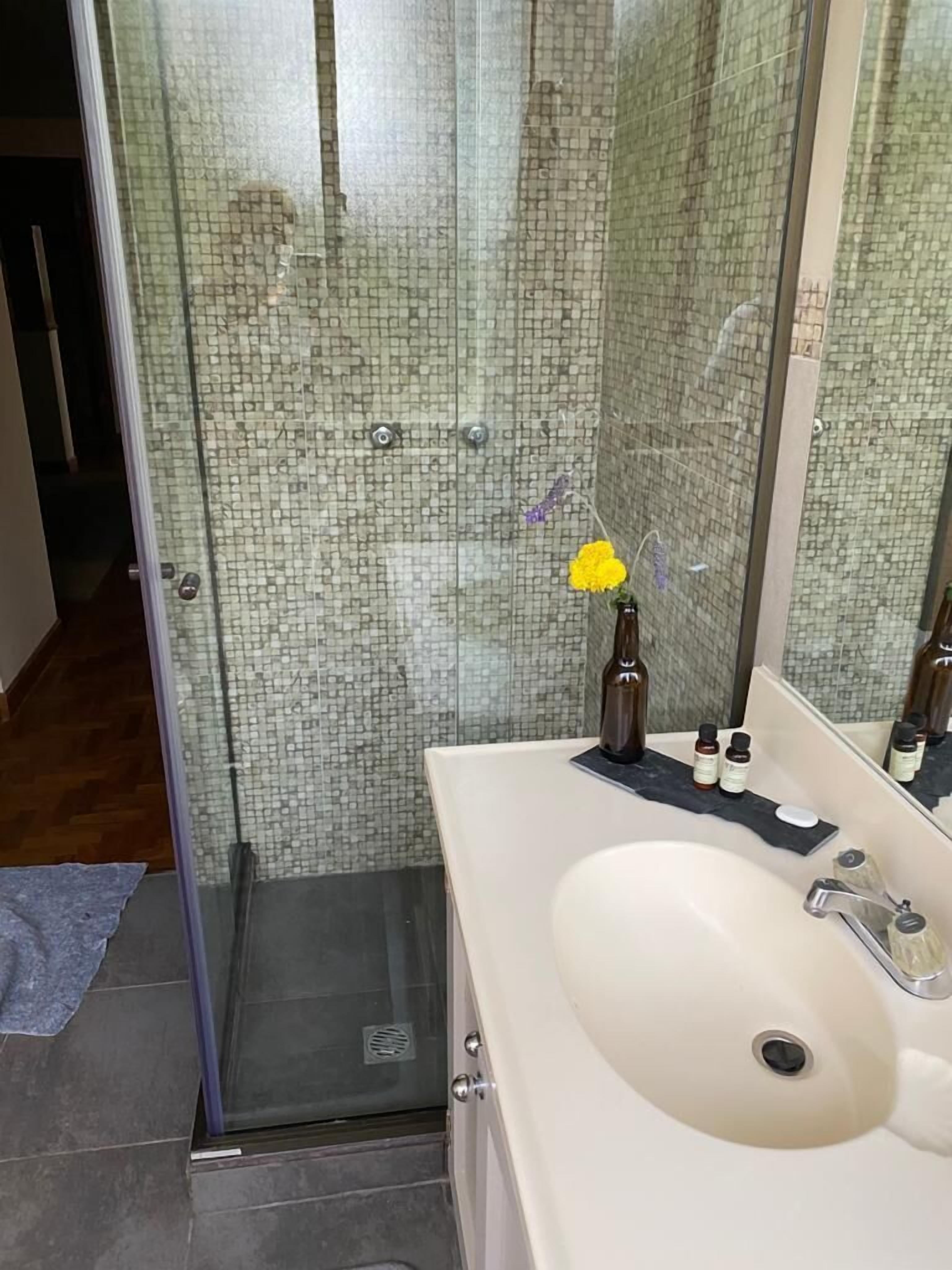 Hair dryer, towels, soap, shampoo