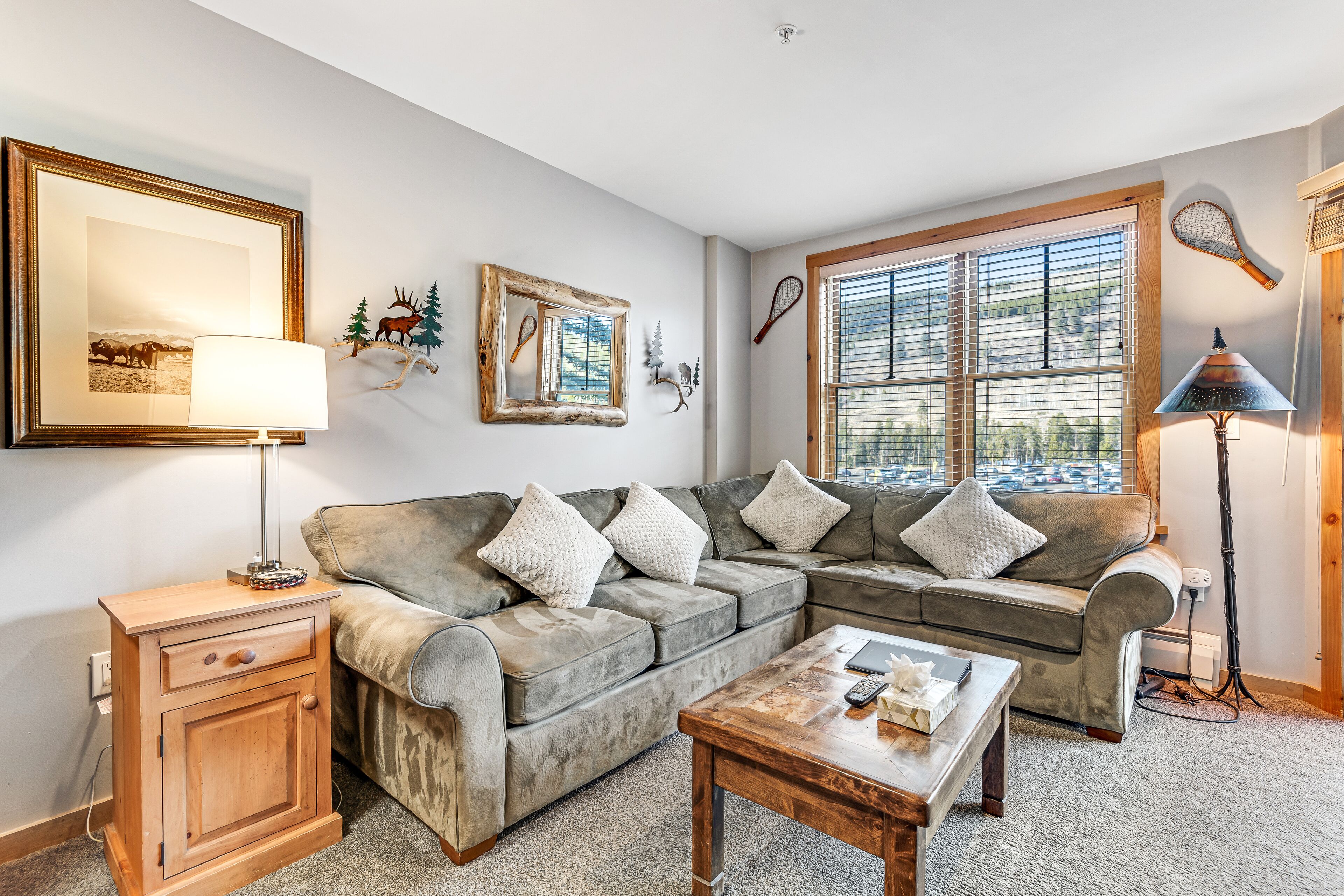 TV, fireplace, books