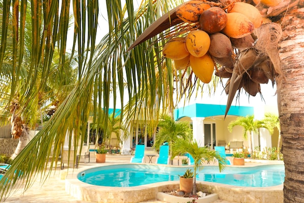 Alberca al aire libre