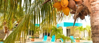 A lovely stay - 1 Bdr Apartment, amazing pool & garden area @ Aqua Viva Suites