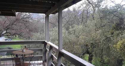 3-bedroom vacation home 8 minutes from Sequoia and Kings Canyon National Parks