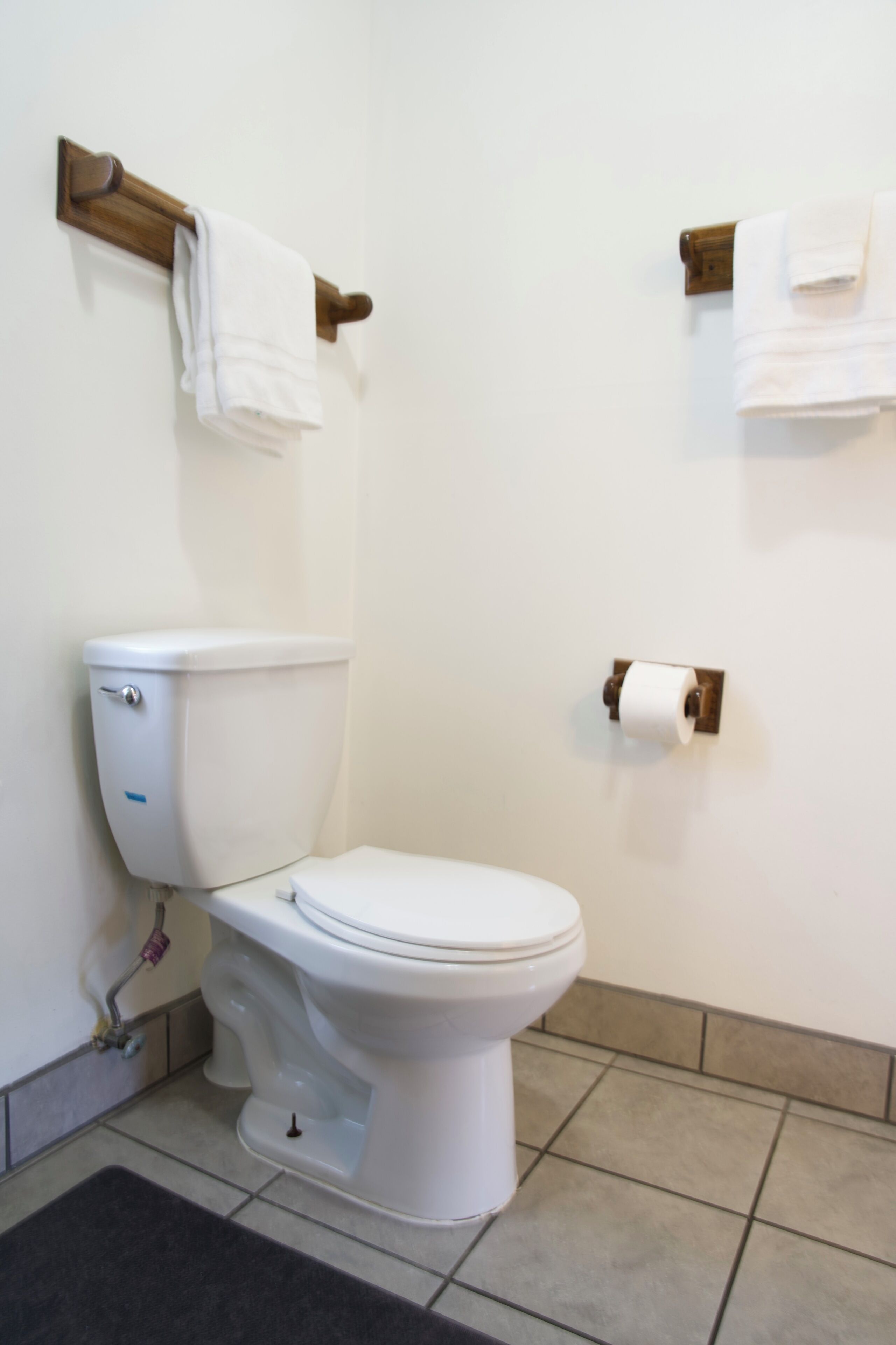 A standard bathroom with a toilet, a towel rack, and a toilet paper holder.