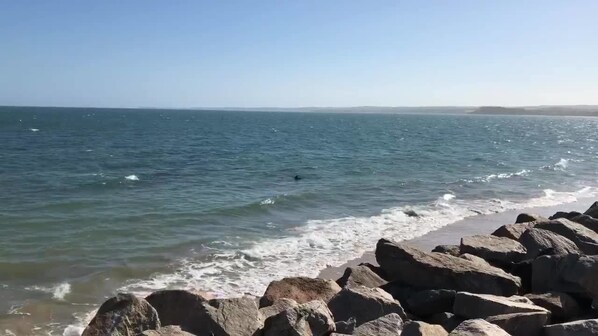 Playa en los alrededores y playa de arena blanca