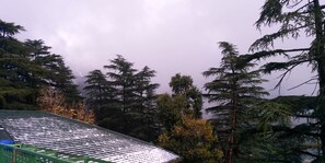 A roof with snow accumulation, surrounded by dense evergreen trees. - D'S CASA Hotel (Dharamshala)