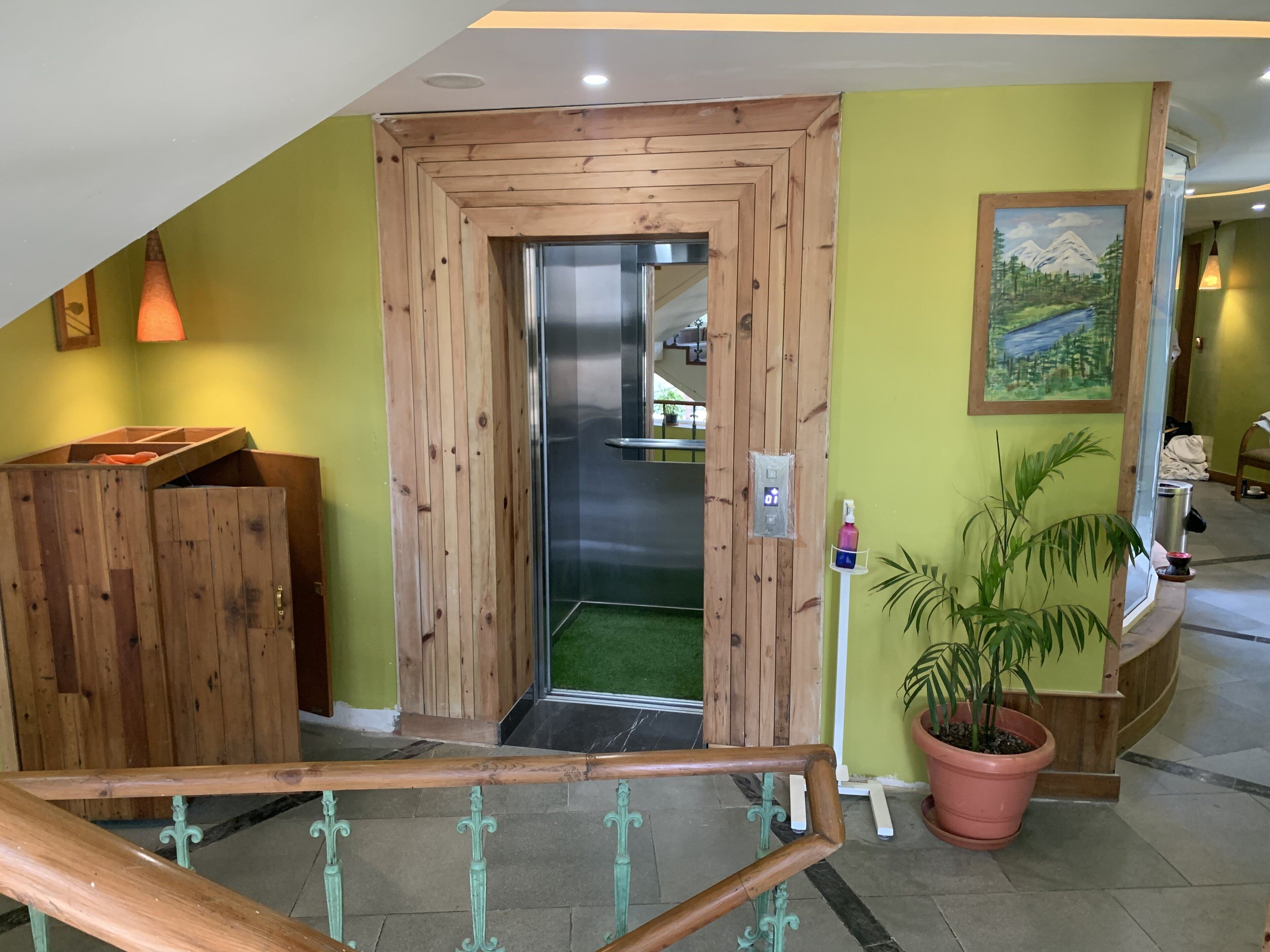 A wooden door leading to a room with a green wall, a potted plant, and a painting of a mountain landscape.