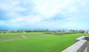 A view of a green field with a stone structure in the foreground. - All Around The Seasons B&B (Taitung)