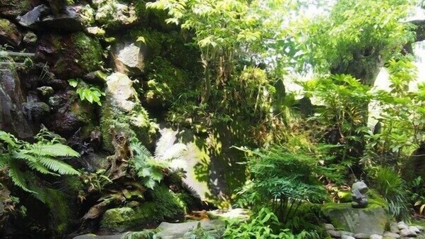 Property grounds - Kyomachi Onsen Akebonosou (Ebino)