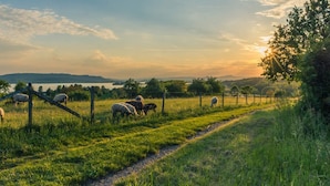 A rural landscape with a fenced field, a path, and a body of water in the distance. - Hotel Landgasthof Linde (Deggenhausertal)