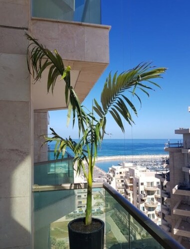 Delux apartment 50 meters from the beach