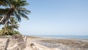 A beach with palm trees, a rocky shoreline, and clear blue sky. - Cho ka Cottages (Mombasa)