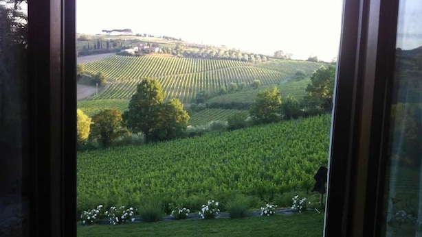 A view of a vineyard through a window, with rows of grapevines and a few trees in the foreground. - Villa del Sole (San Gimignano)