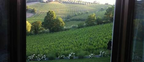 Chambre Double ou avec lits jumeaux, vue jardin, dans la tour | Vue de la chambre
