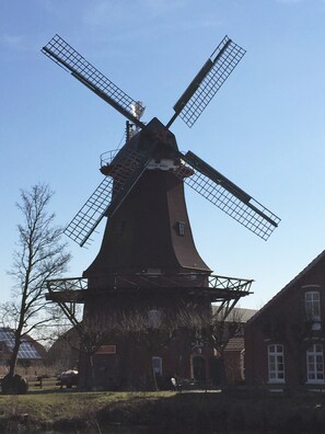 View from room - Mühlenhof Nesse (Dornum)